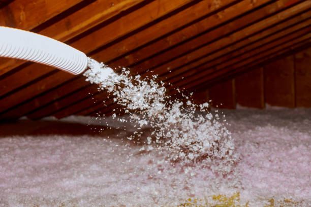 Best Insulation Installation Services in North Eastham, MA